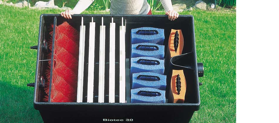 Biotec 30 02